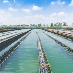 1 Groundwater Quality and Low-Flow Monitoring 1 (14)